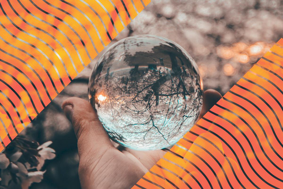 Flipped view of a tree through a glass ball