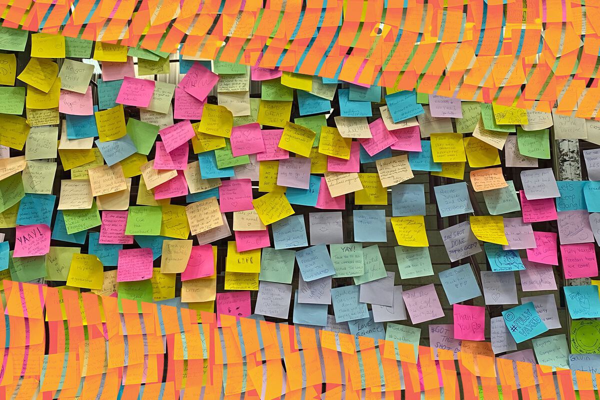 Multicoloured sticky notes on wall